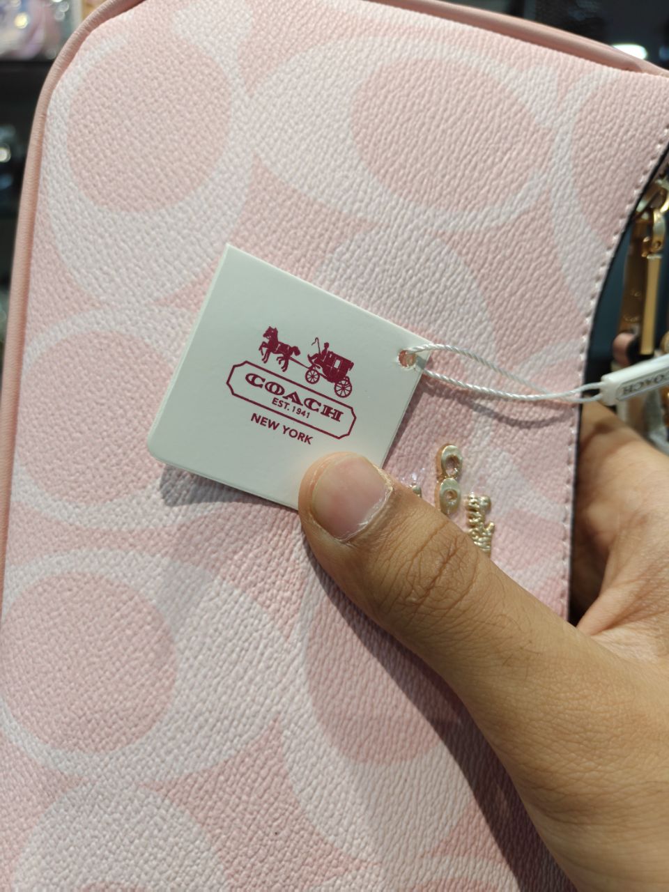C*ach Teri Shoulder Bag In Signature Canvas